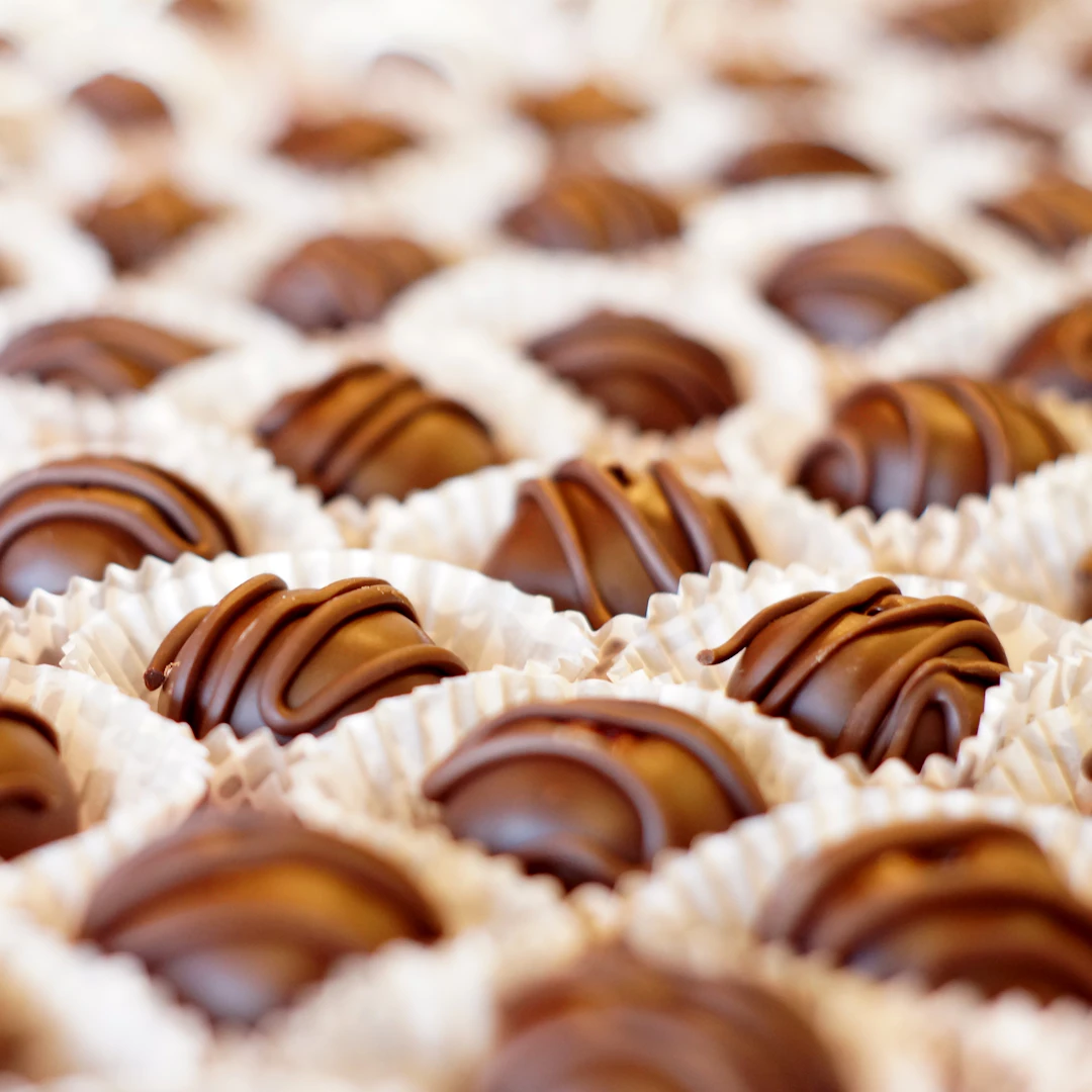Trufa de Chocolate Zero Açúcar